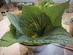 -西塔老太太泥炉烤肉(望京一店)
