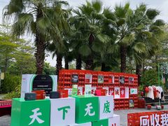 -福田红树林生态公园