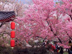 -东湖生态旅游风景区