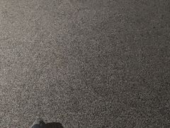 -海合安武汉极地海洋公园