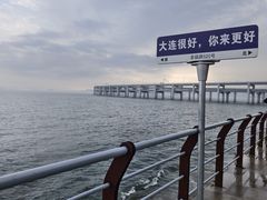 -星海湾跨海大桥