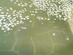 -郑州银基黄帝宫御温泉