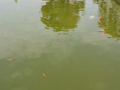 -安溪清水岩