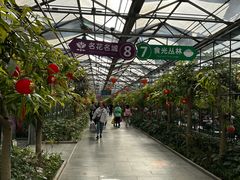 -南宫五洲植物乐园