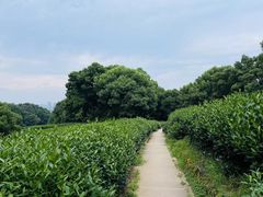 -西湖风景区十里琅珰-五云山