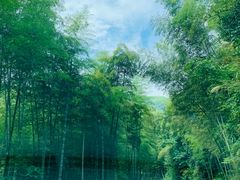 -鹿亭中村