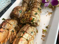 -光海鲜鱼翅餐厅(叻差拉披色路店)