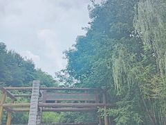 -牛背梁国家森林公园