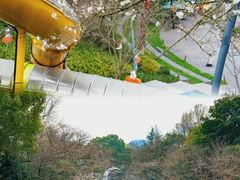 -杭州少年儿童公园