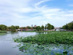 -长春市南湖公园