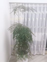 -HEYAN荷妍专业脱毛连锁机构