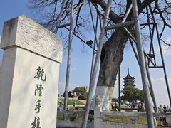 -观潮胜地公园