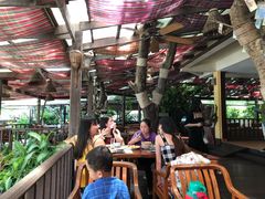-卷心菜和避孕套餐厅(Pattaya)