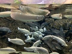 -成都浩海立方海洋公园