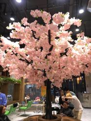 -简影造型·自选烫染接发salon