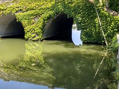-广富林郊野公园
