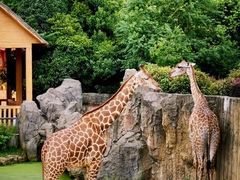 -大连森林动物园