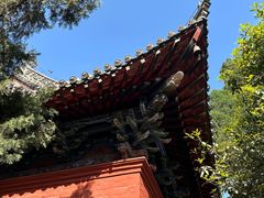 -洛阳白马寺