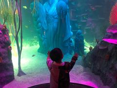 -沈阳海洋探索中心