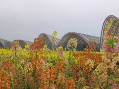 -中国天府农业博览园