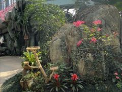 -天目湖山水园