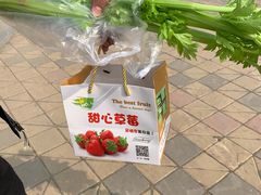 -甜心庄园·甜心草莓采摘园(西青中北店)
