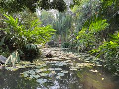 -中国科学院西双版纳热带植物园
