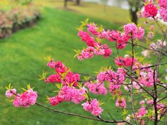 -上海辰山植物园