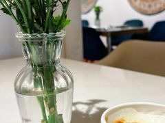 -伊斯坦布尔土耳其清真咖啡餐厅