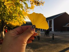 -辽宁大学(崇山校区)