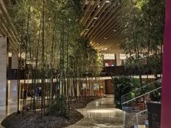 -北京望京凯悦酒店The Lounge大堂酒廊