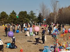 -朝阳公园游乐园