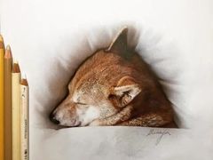 -八哥美术·成人美术画室(总校区)