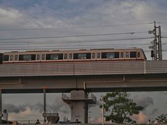 -宝安西湾红树林湿地公园