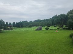 -宜兴龙背山森林公园