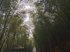 -穹窿山景区