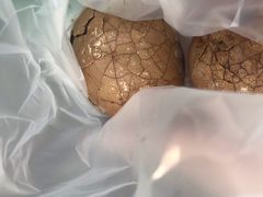 -金盆阿嬷香菇茶叶蛋(玄光店)