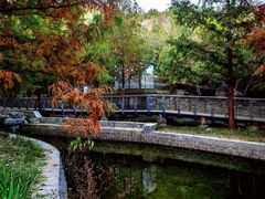 -白水寺森林公园