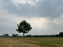 -钟山体育运动公园