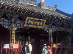 -护国法轮寺