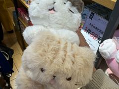 -九木杂物社(恒隆广场店)