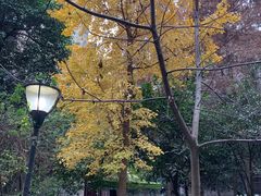 -四川大学(望江校区)