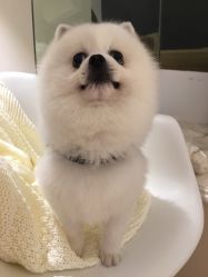 -MZ SKIN CARE逆齢驻颜中心