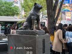 -涩谷区