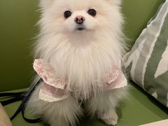 -晋家门·苏皖家常菜(江宁太阳城店)