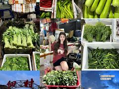 -细村农贸综合市场