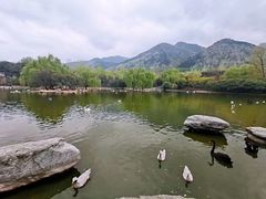 -西安秦岭野生动物园