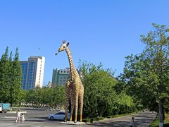 -西霞口神雕山野生动物世界