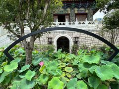 -宝莲禅寺