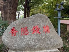 -钱江新城灯光秀